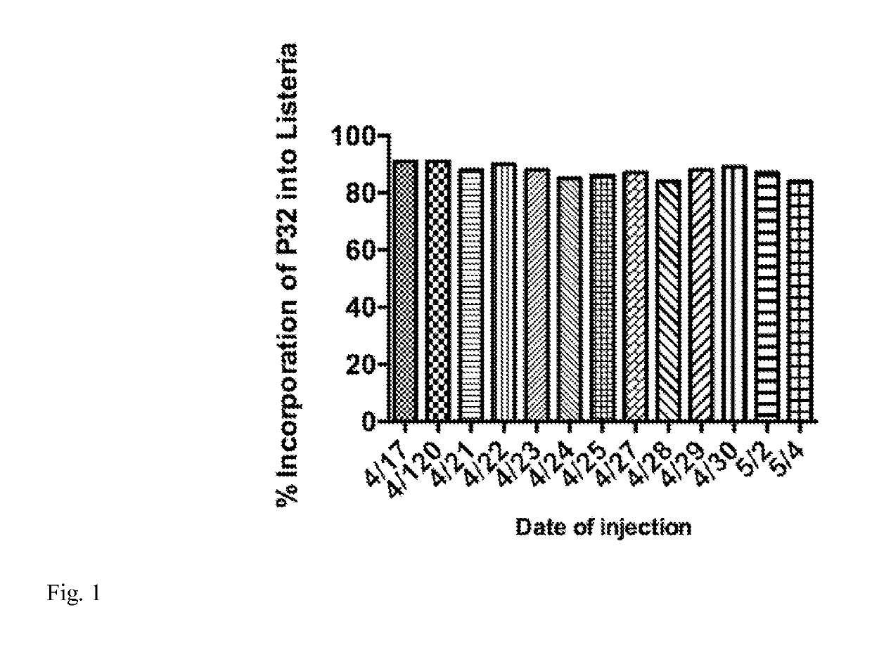 Method for producing radiobacteria for therapy of cancer