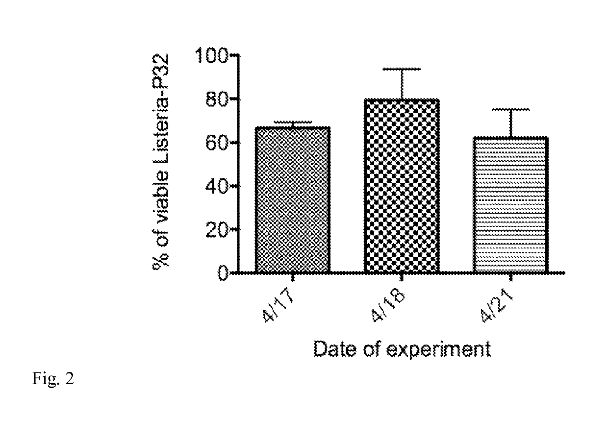 Method for producing radiobacteria for therapy of cancer