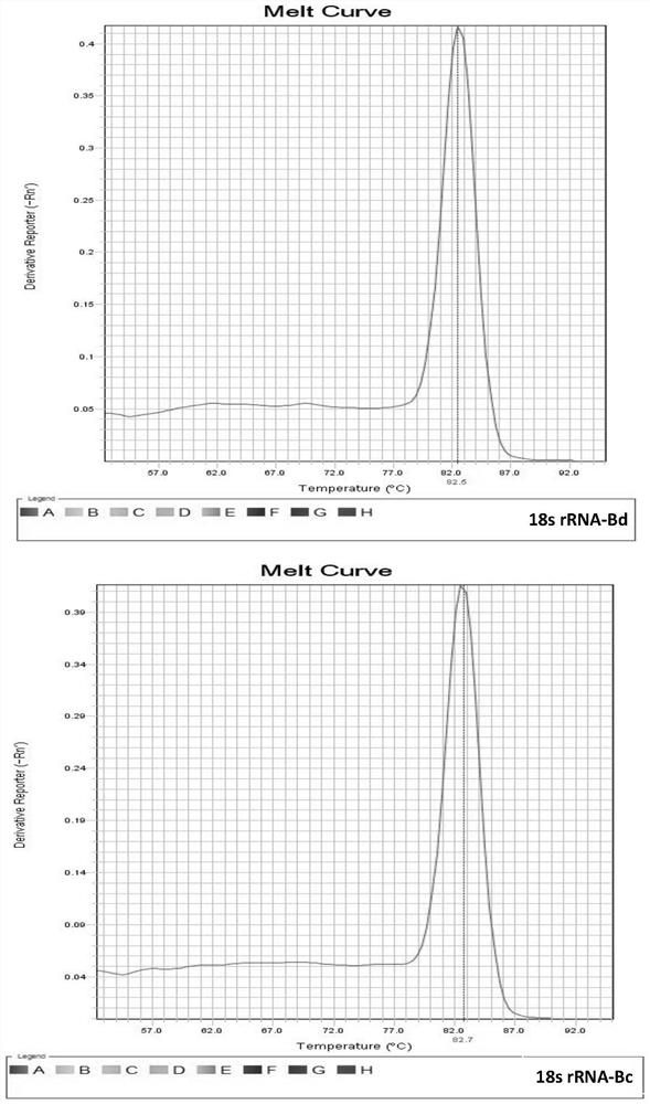 Primer pair for detection of idgf4 gene expression in fruit fly