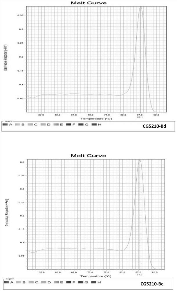 Primer pair for detection of idgf4 gene expression in fruit fly