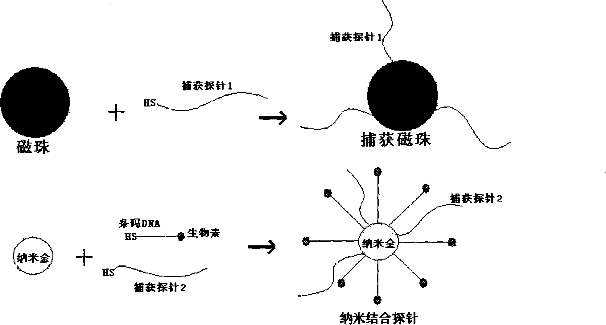 Method for detecting DNA, RNA and ultramicro-amount protein