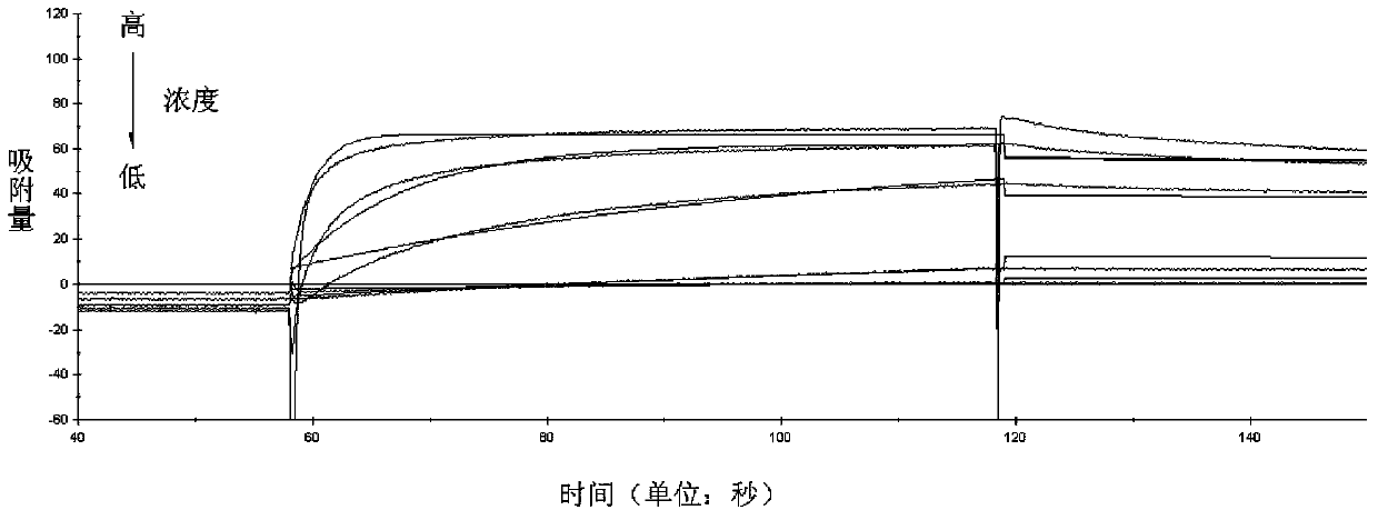 Micromolecule antibody affinity peptide and applications thereof