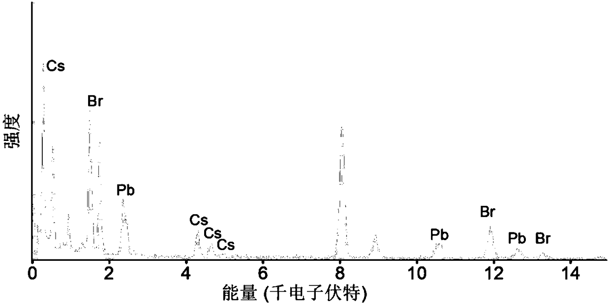 Preparation method of total-inorganic perovskite quantum dots