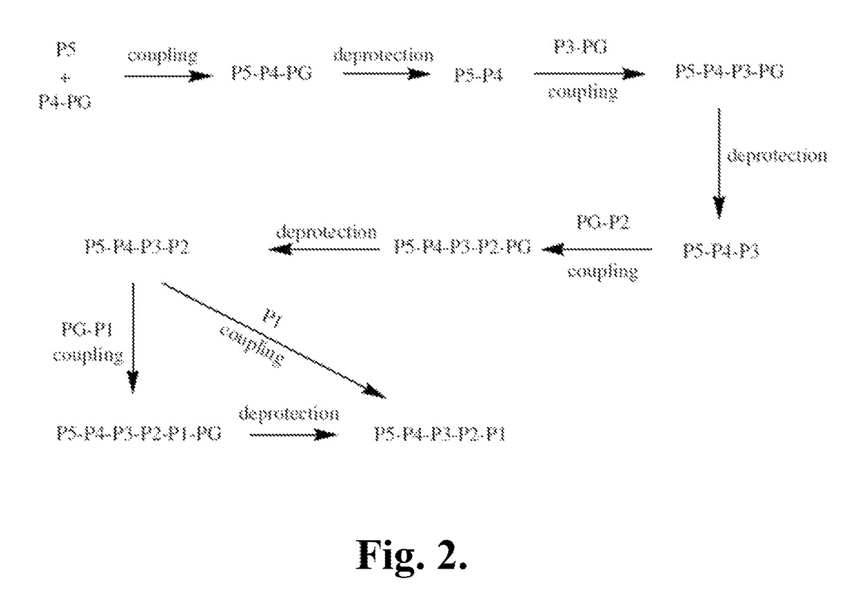 Indoline compounds as granzyme B inhibitors