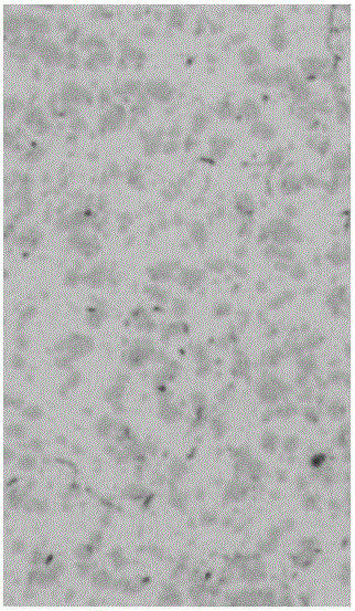 Preparation method for high-boron stainless steel plate