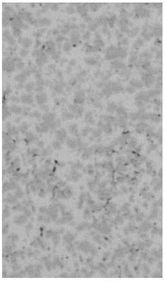 Preparation method for high-boron stainless steel plate