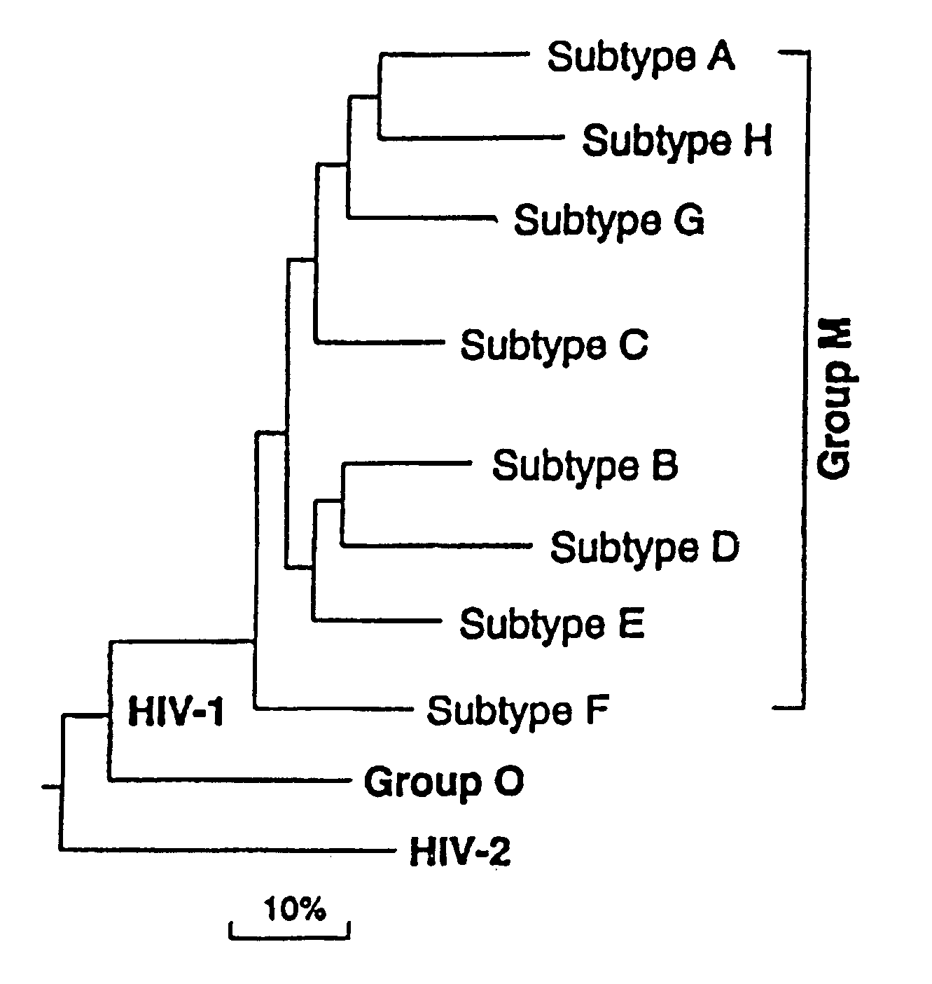 Method for the development of an HIV vaccine