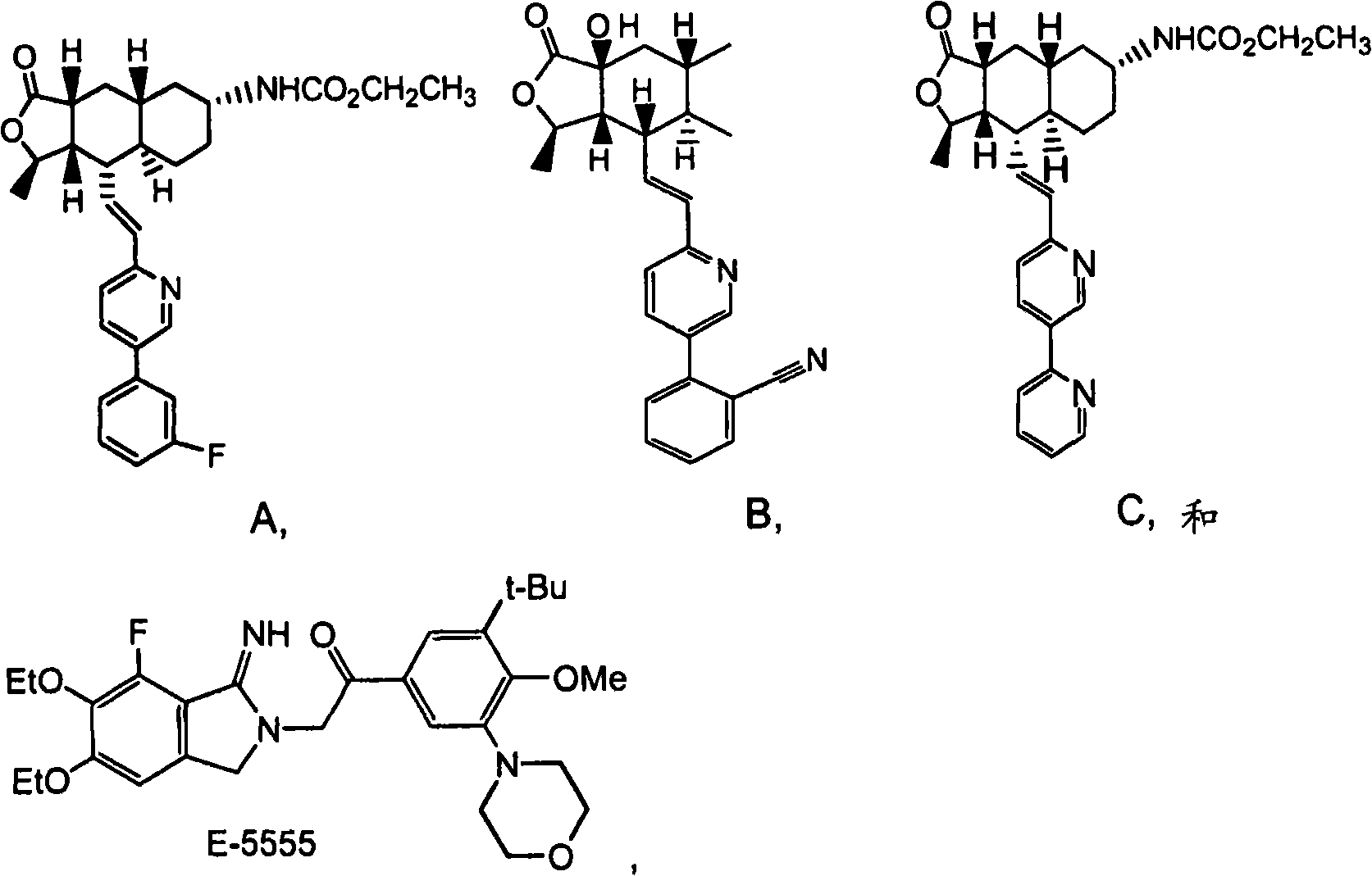 Rapidly disintegrating lyophilized oral formulations of a thrombin receptor antagonist