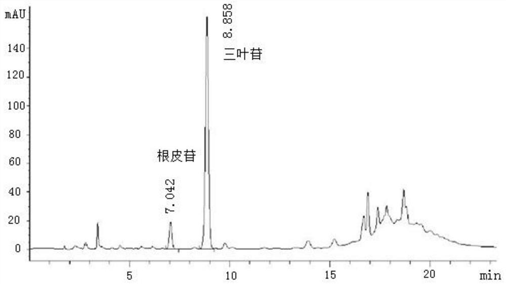 A process for extracting trilobatin from Keji