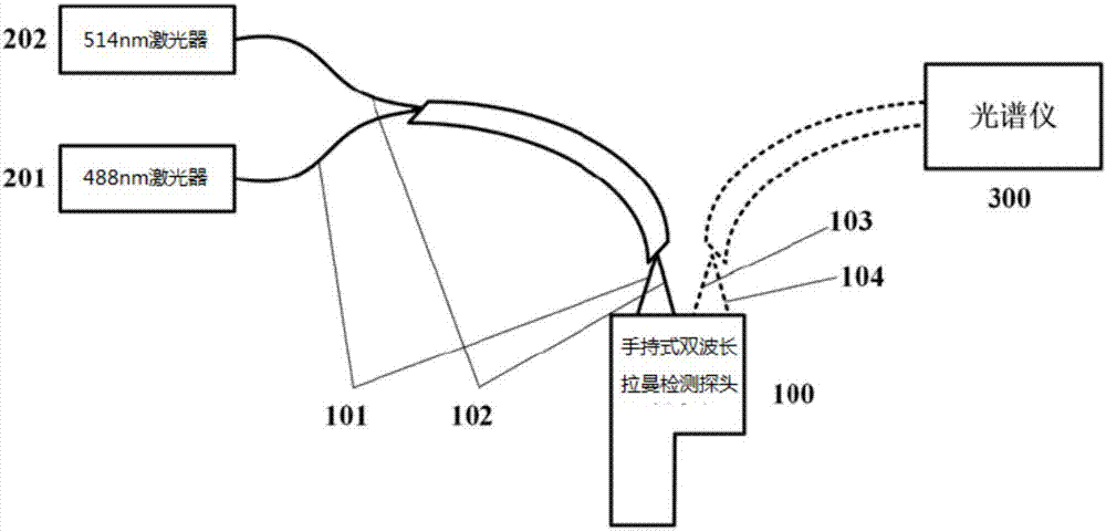 Hand-held nondestructive lycopene detection apparatus based on dual-wavelength Raman spectrometry