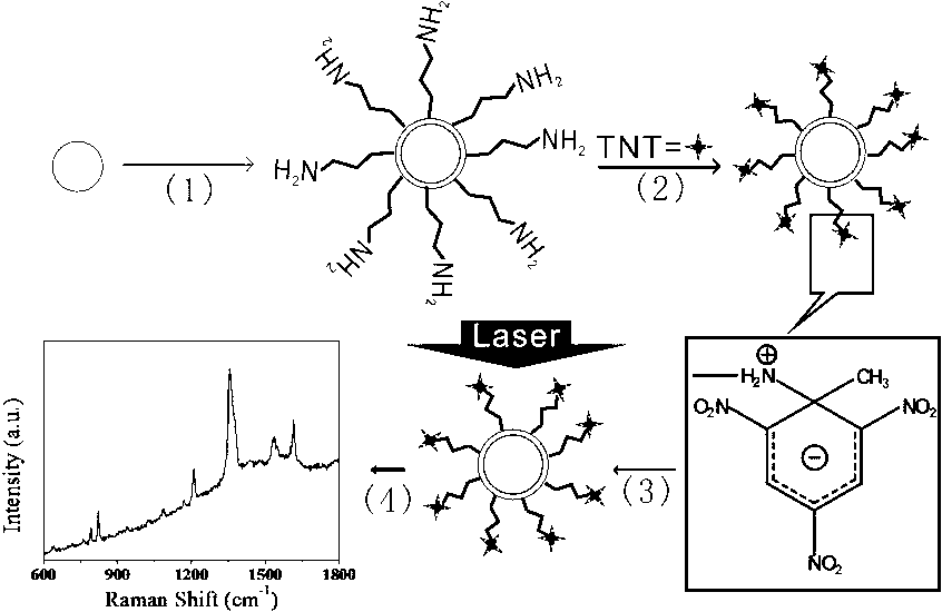 Selective detection method for TNT (trinitrotoluene) by enhanced Raman spectrometry of functionalized shell isolated nanoparticles