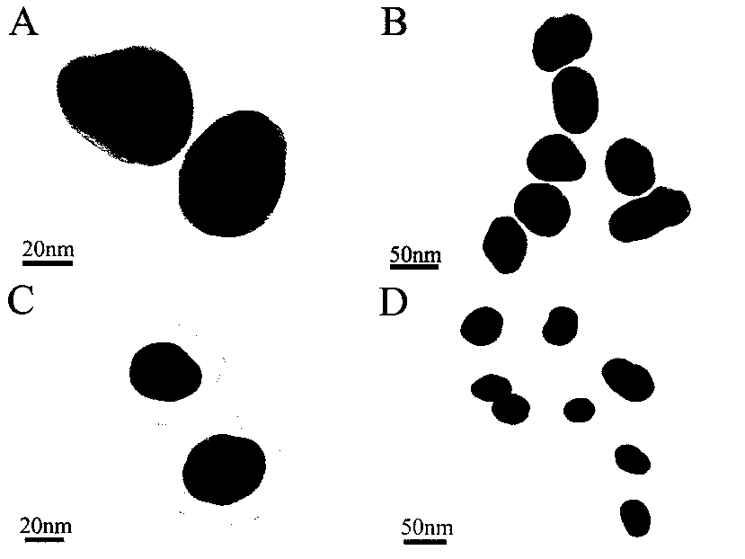 Selective detection method for TNT (trinitrotoluene) by enhanced Raman spectrometry of functionalized shell isolated nanoparticles