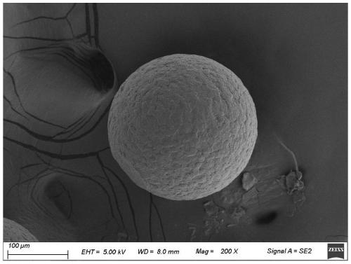 Carbon material microbead/polymer composite film, and preparation method and applications thereof