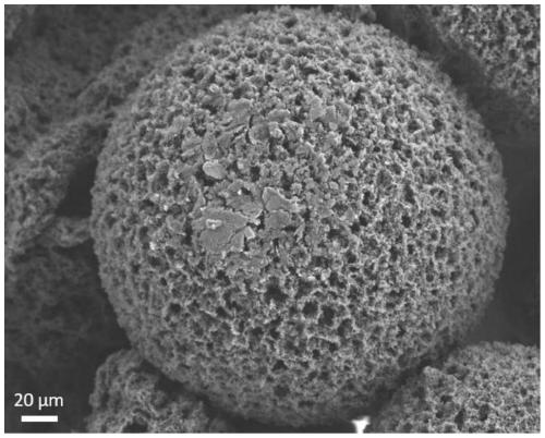 Carbon material microbead/polymer composite film, and preparation method and applications thereof