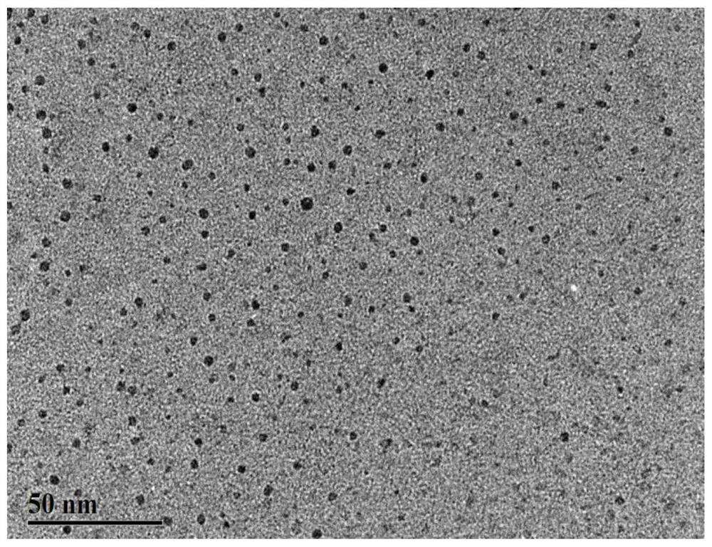 Fluorescent carbon dots for self-targeting cell nucleus and preparation method and application thereof