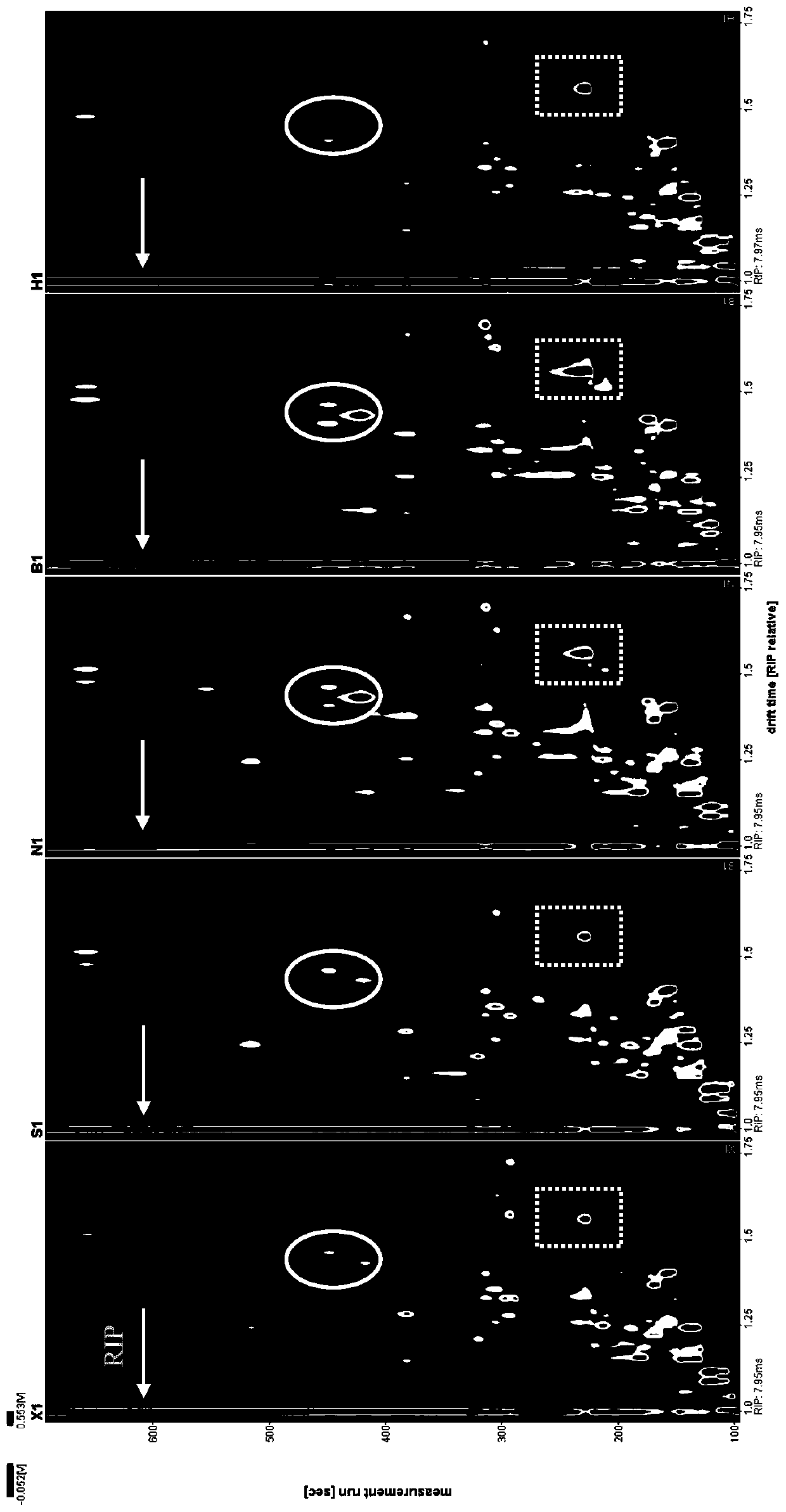 Method for rapidly identifying production place of ham