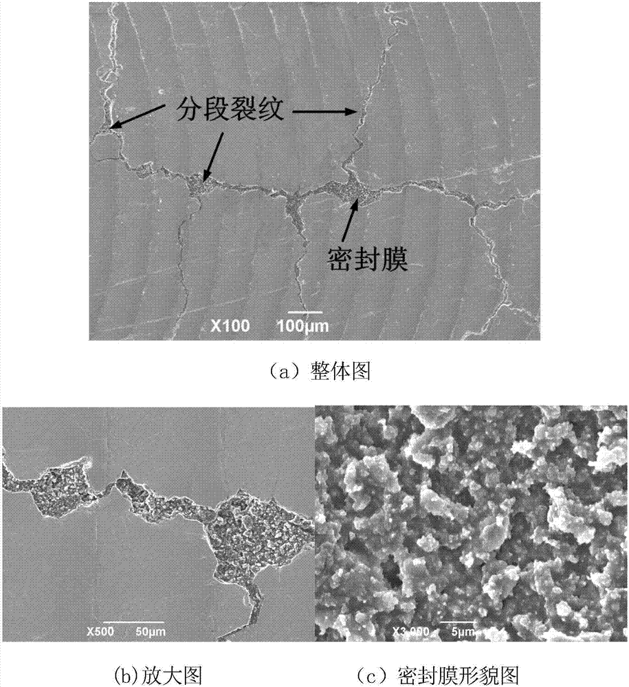 Segmented crack self-healing repair method for laser remelting thermal barrier coating