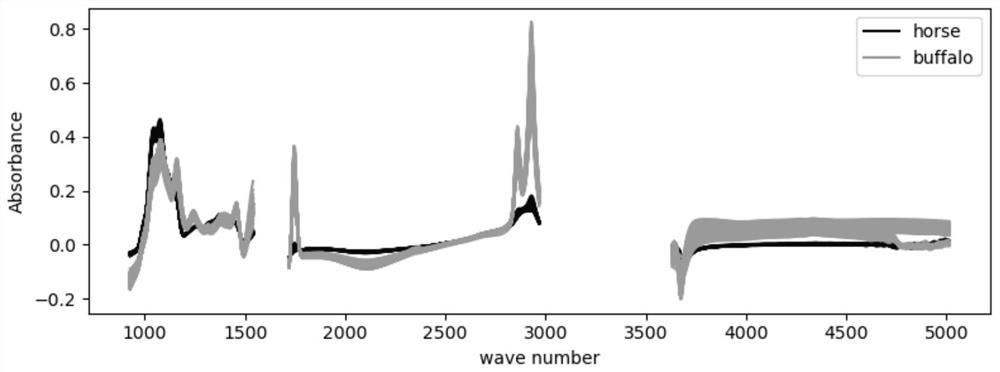 Method for identifying buffalo milk and mare milk by utilizing spectra