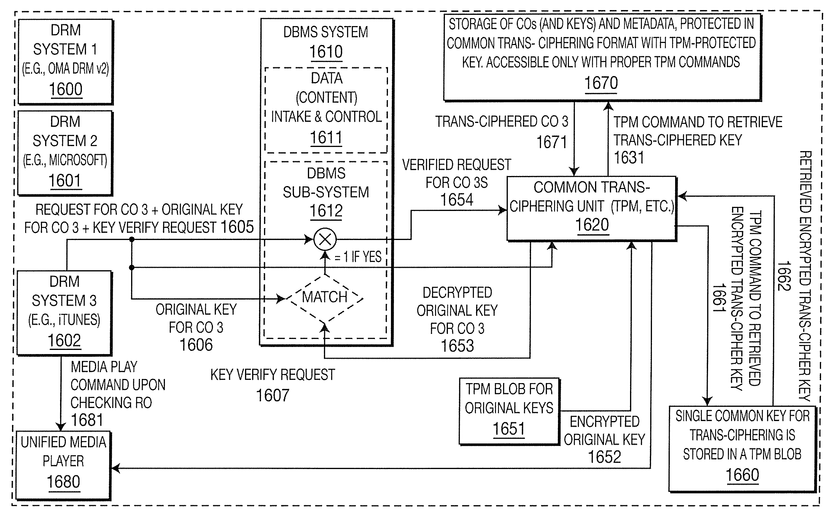 Techniques for database structure and management