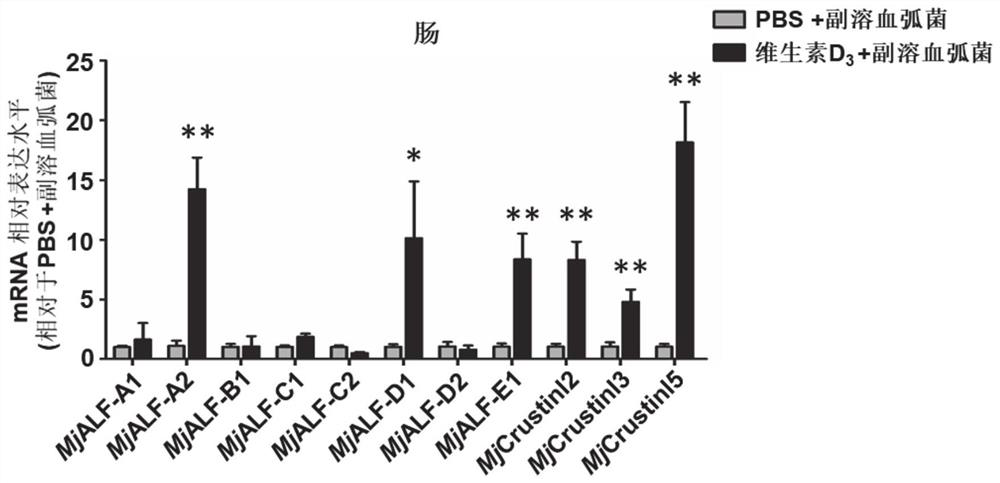 Application of vitamin D3 to aquaculture