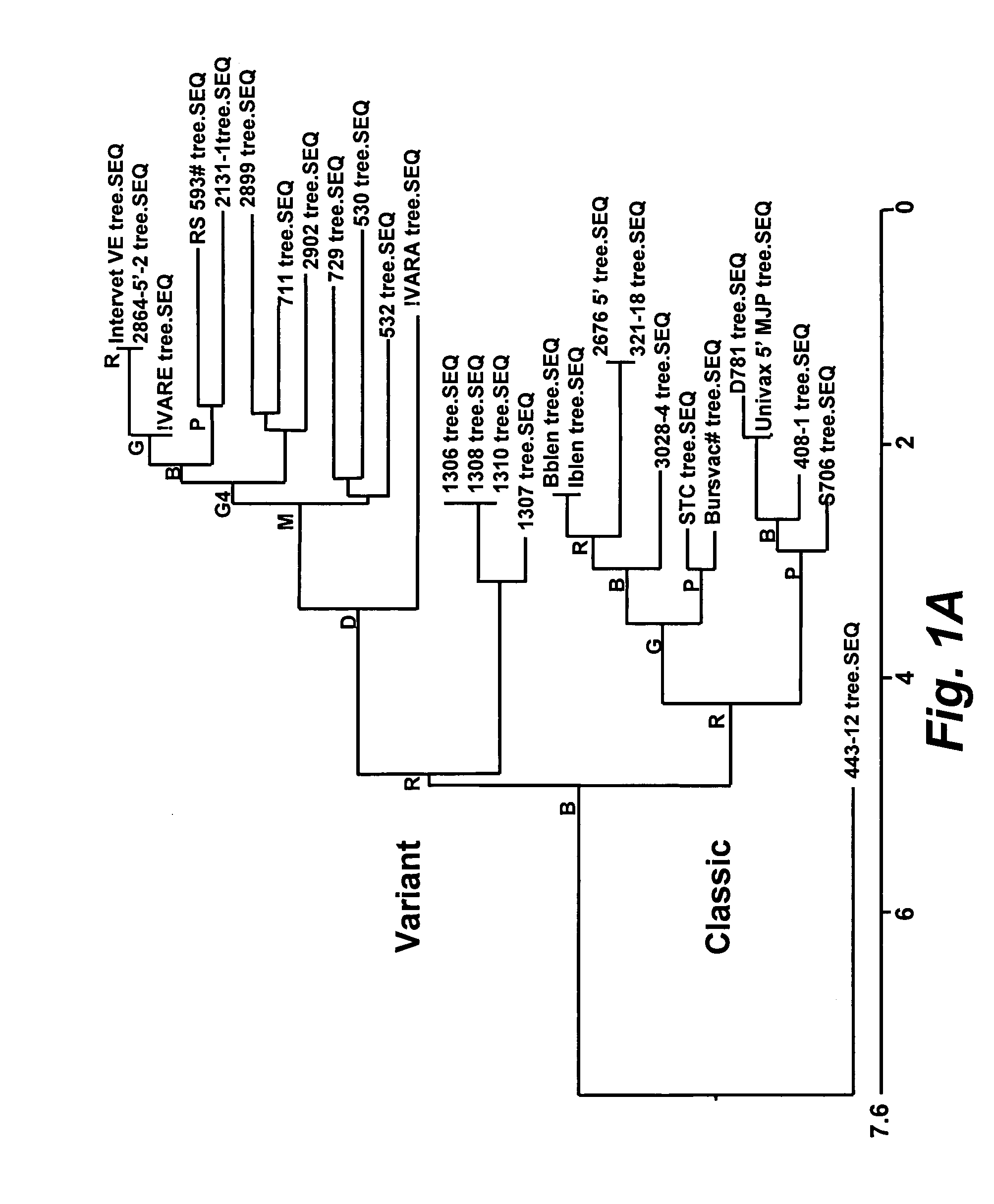 Methods of characterizing infectious bursal disease virus