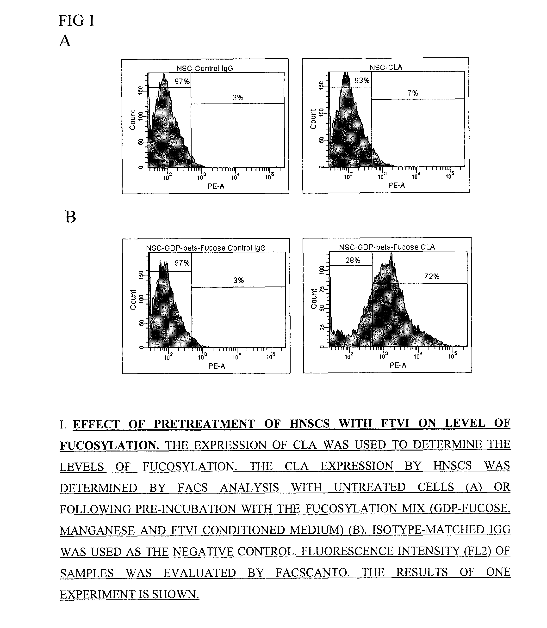 Augmentation of cell therapy efficacy including treatment with alpha 1-3 fucosyltransferase