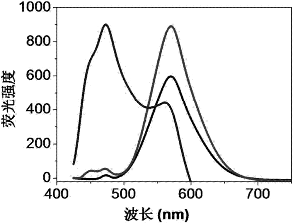 Application of glutathione-stabilized gold nano-clusters in detection of cysteine and lysine contents