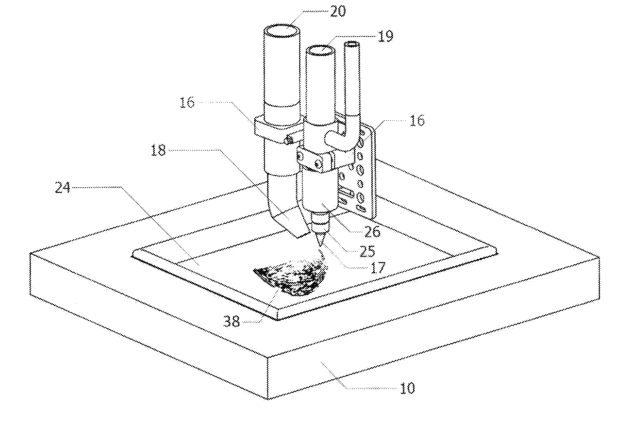 Three Dimensional Printing of Biotic Material Originated from Swiftlet Edible Bird Nest