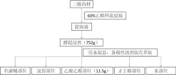 Application of active peptide compound in rhizoma sparganii