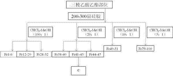 Application of active peptide compound in rhizoma sparganii