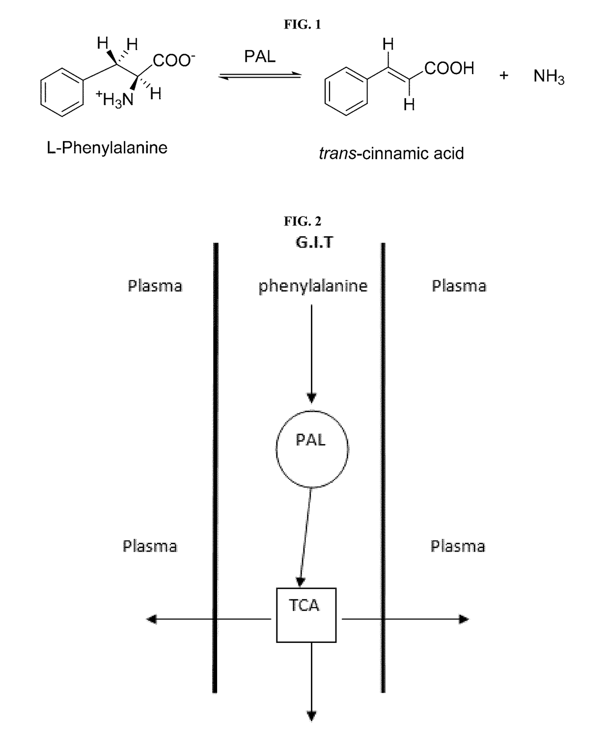 Compositions and methods for the treatment of phenylketonuria (PKU)