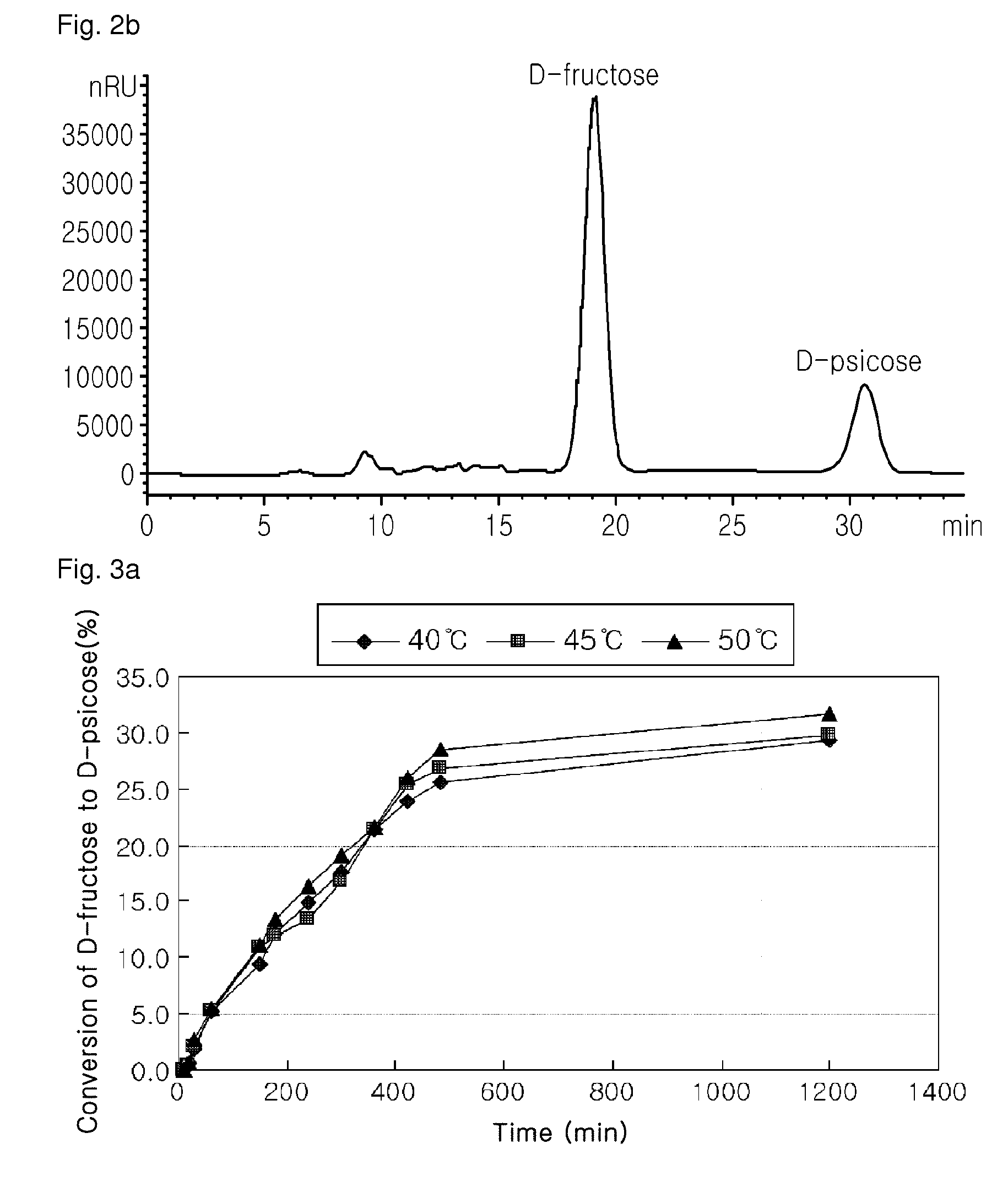 Immobilization of psicose-epimerase and a method of producing D-psicose using the same