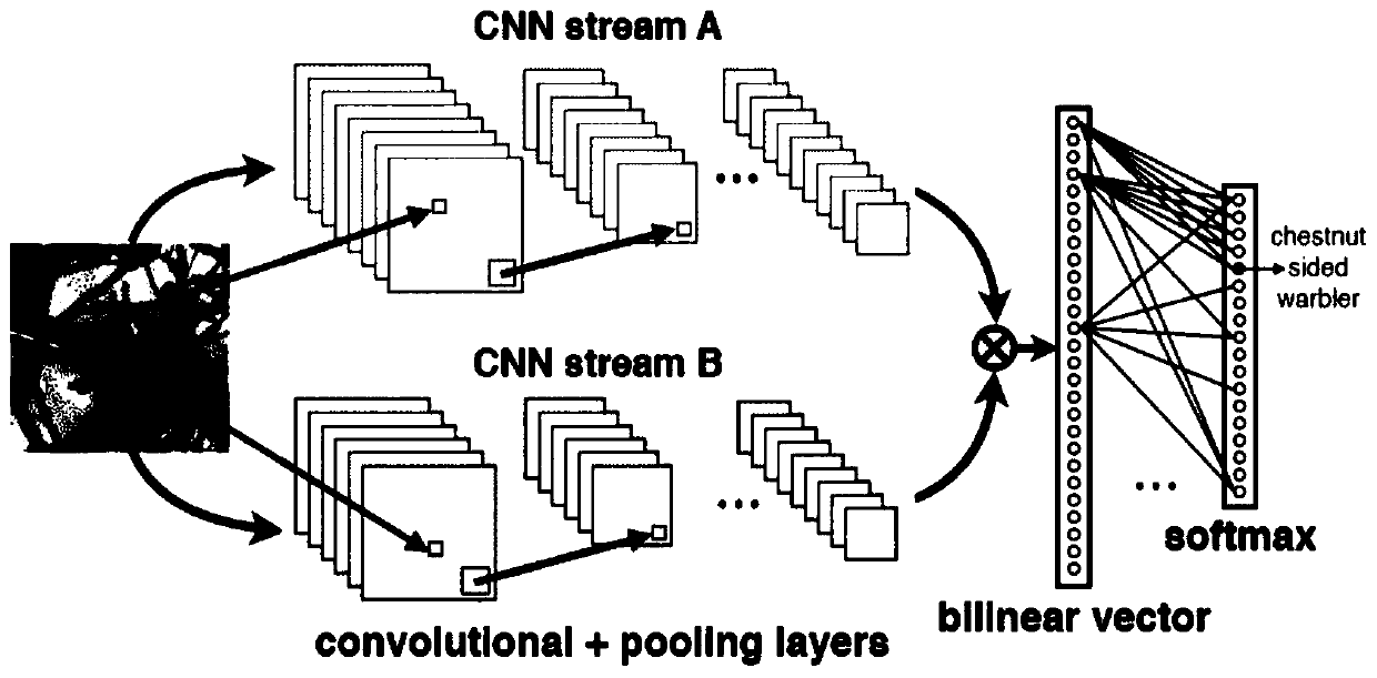 Tongue image data analysis method based on strong supervision algorithm and deep learning network