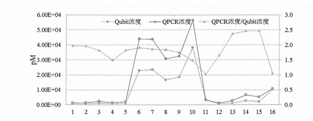 Fetal free DNA (Deoxyribonucleic Acid) library quantitative standard and preparation method therefor