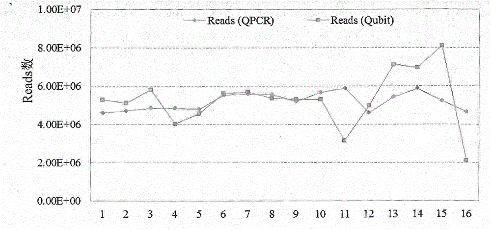 Fetal free DNA (Deoxyribonucleic Acid) library quantitative standard and preparation method therefor