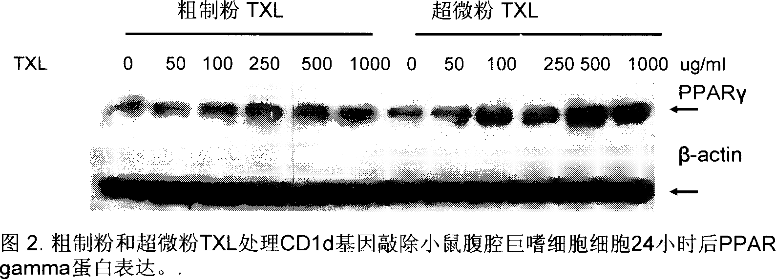 Supermicro Tongxinluo Chinese herbal composite and its new usage