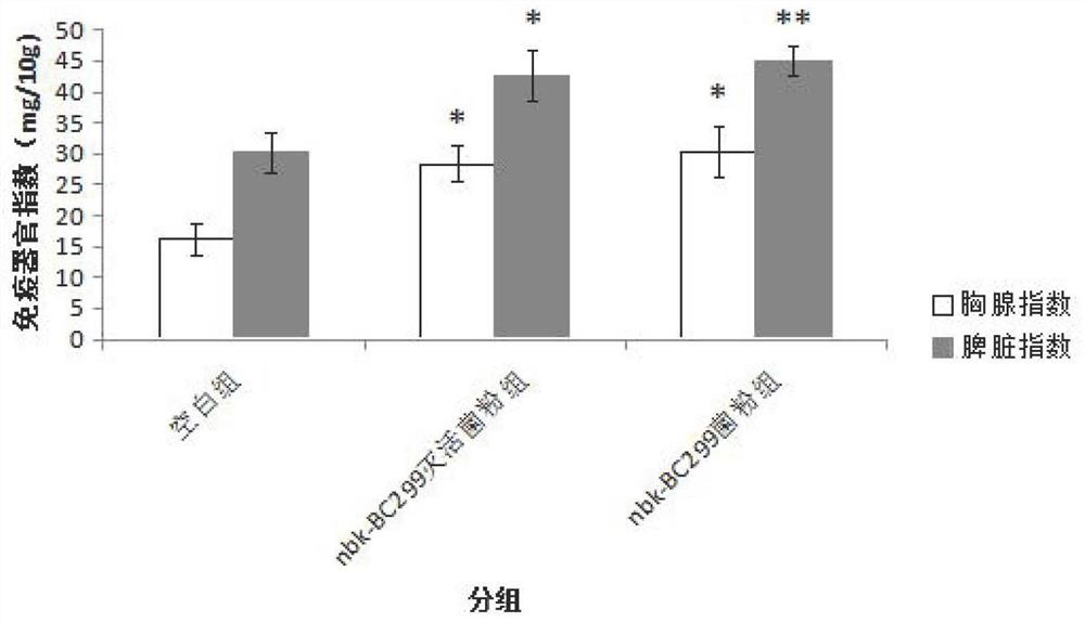 A strain of Lactobacillus plantarum and its application