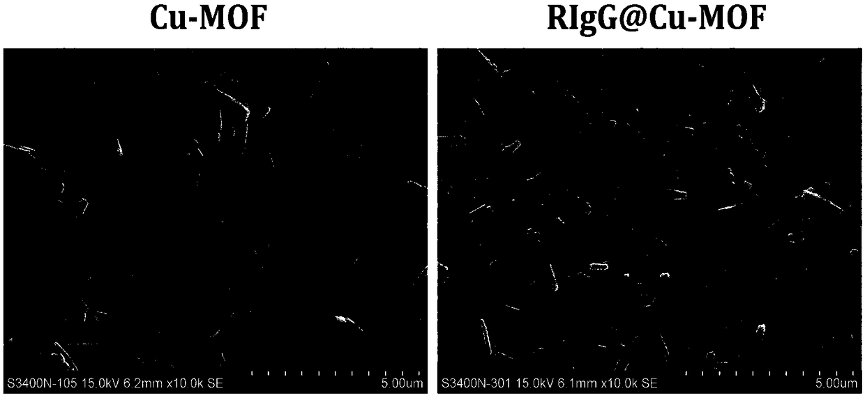 Preparation method of enzyme-labeled antibody