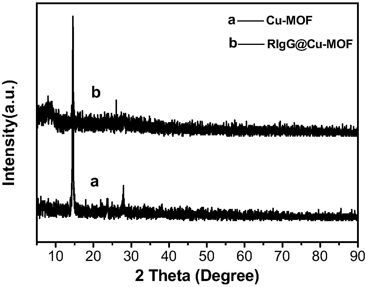 Preparation method of enzyme-labeled antibody