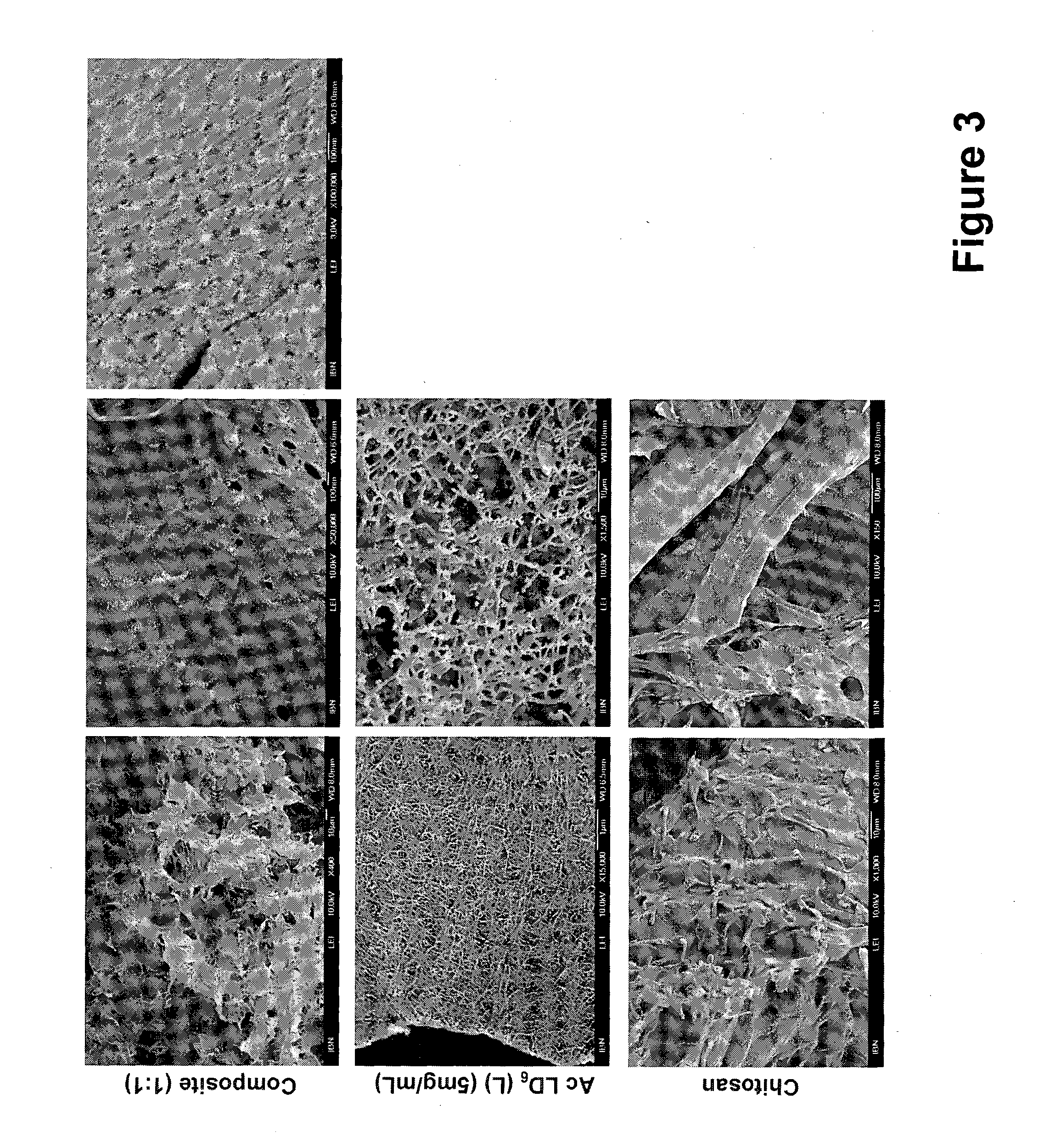 Self-assembled composite ultrasmall peptide-polymer hydrogels