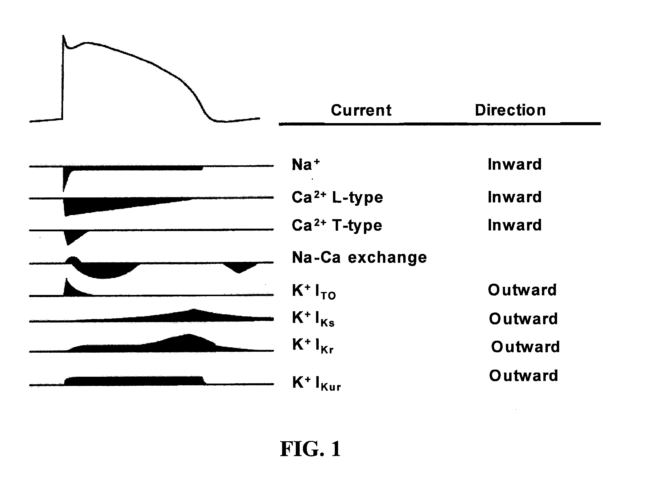 Method, system and composition for optically inducing cardiomyocyte contraction