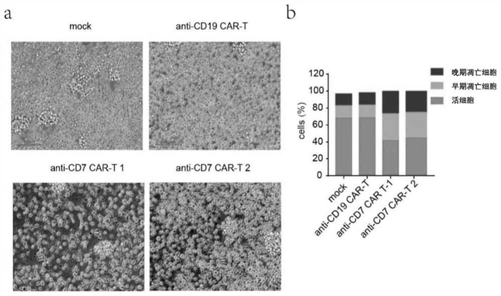 Blocking antibody and application thereof in preparation of CAR-T cell of targeting T cell expression antigen