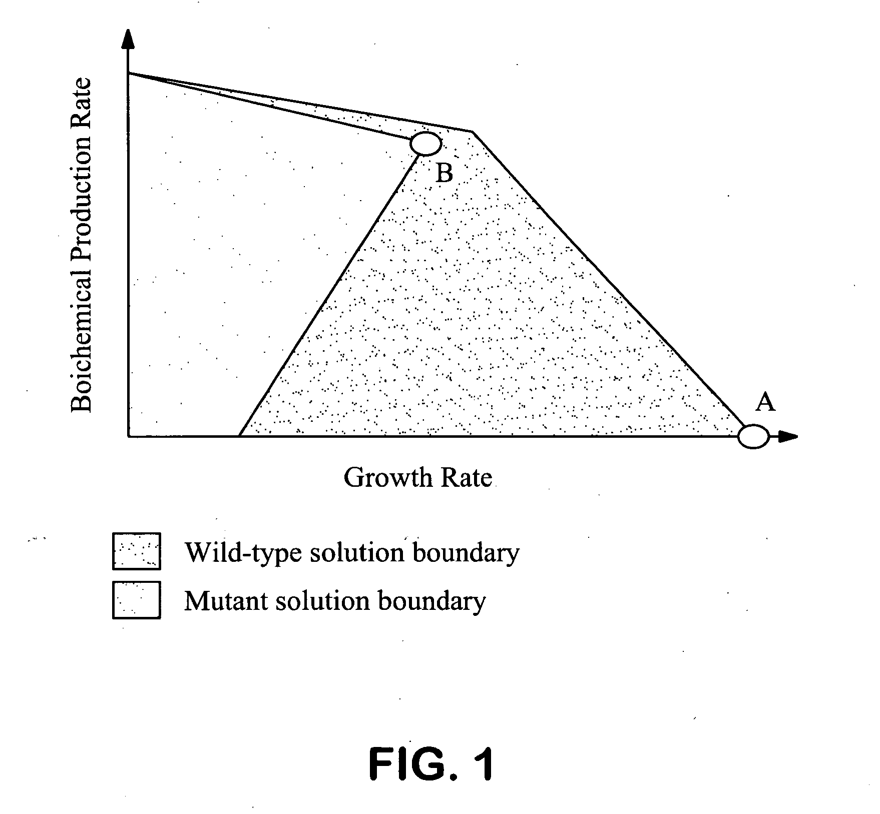 Methods and organisms for the growth-coupled production of succinate