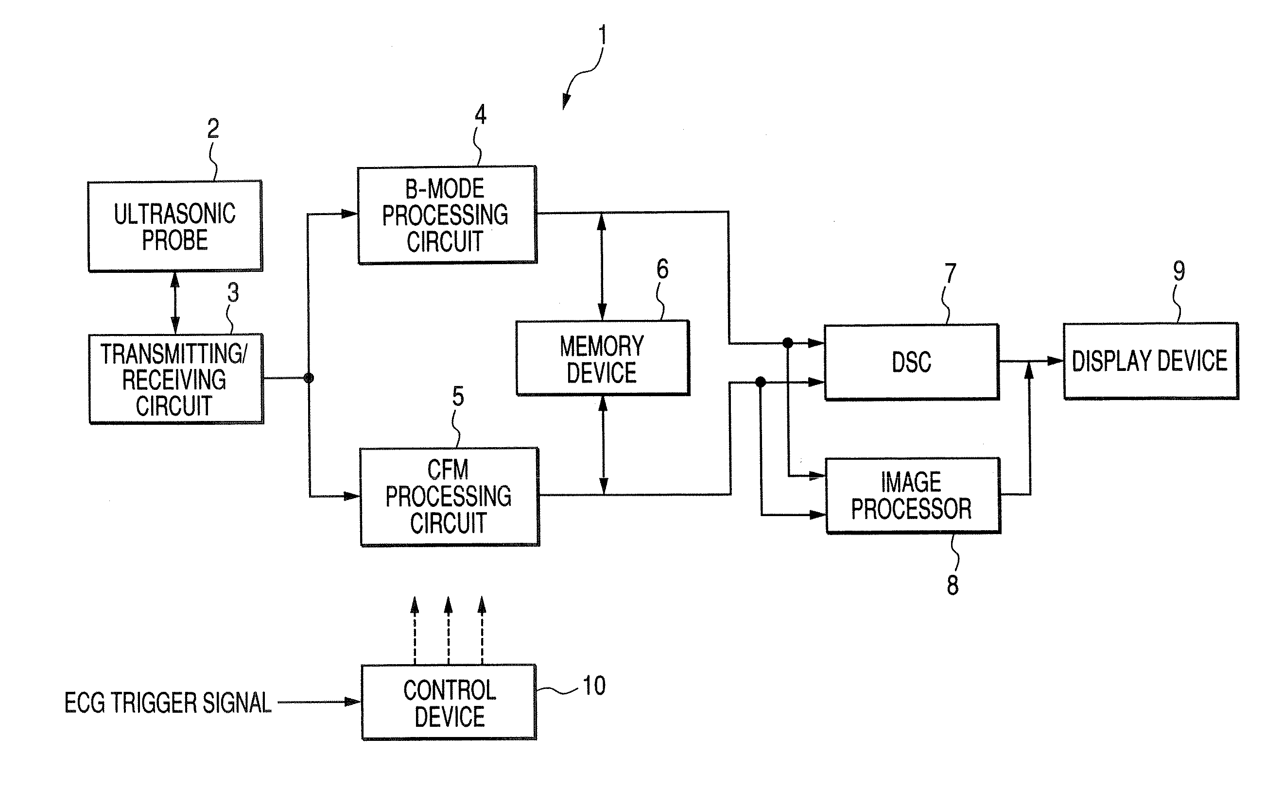 Apparatus for obtaining ultrasonic image and method of obtaining ultrasonic image