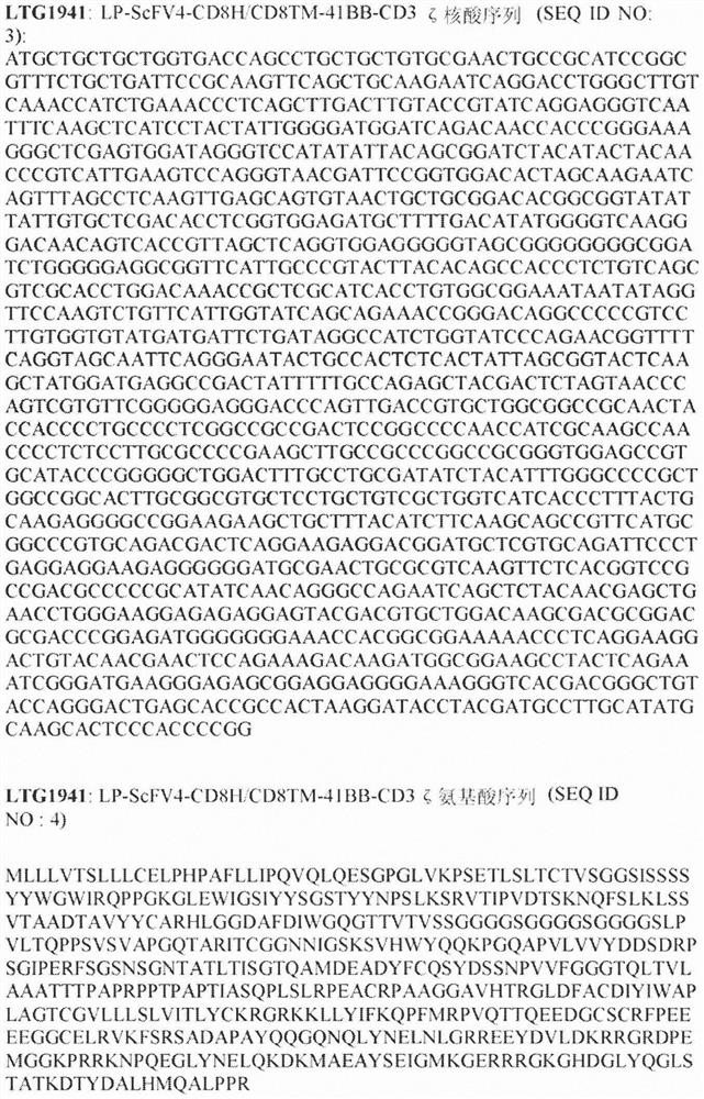 Compositions and methods for treating cancer with Anti-ror1 immunotherapy