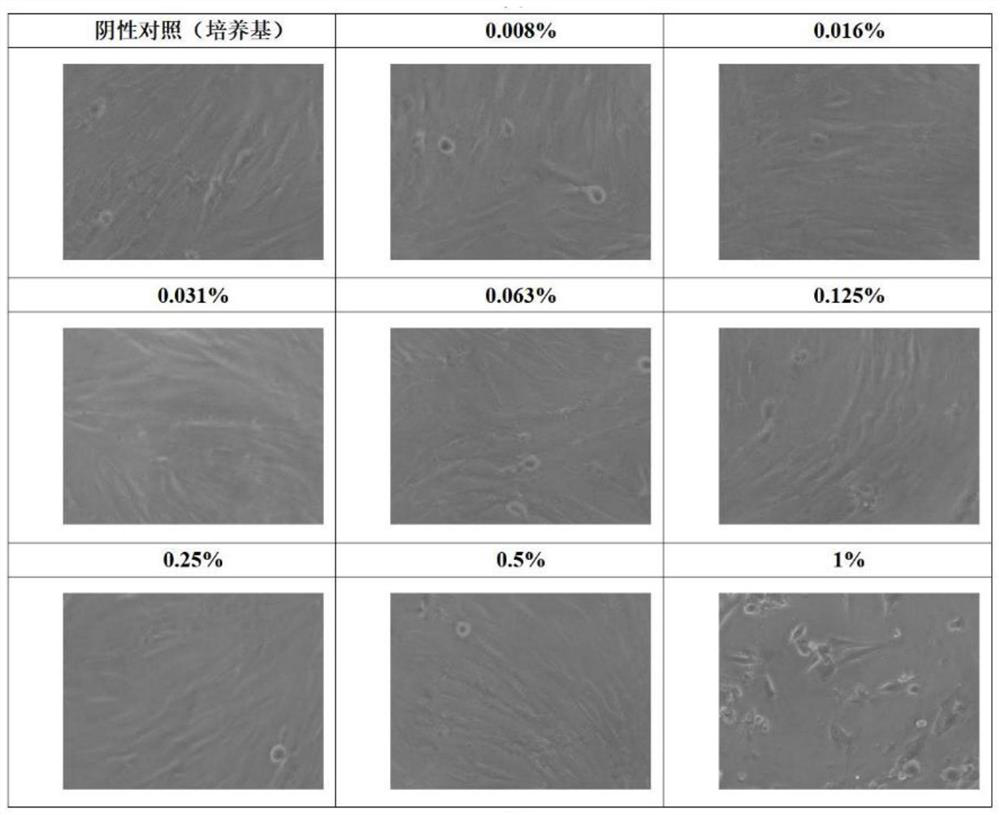 Pseudo-ginseng muddy mask and preparation method thereof