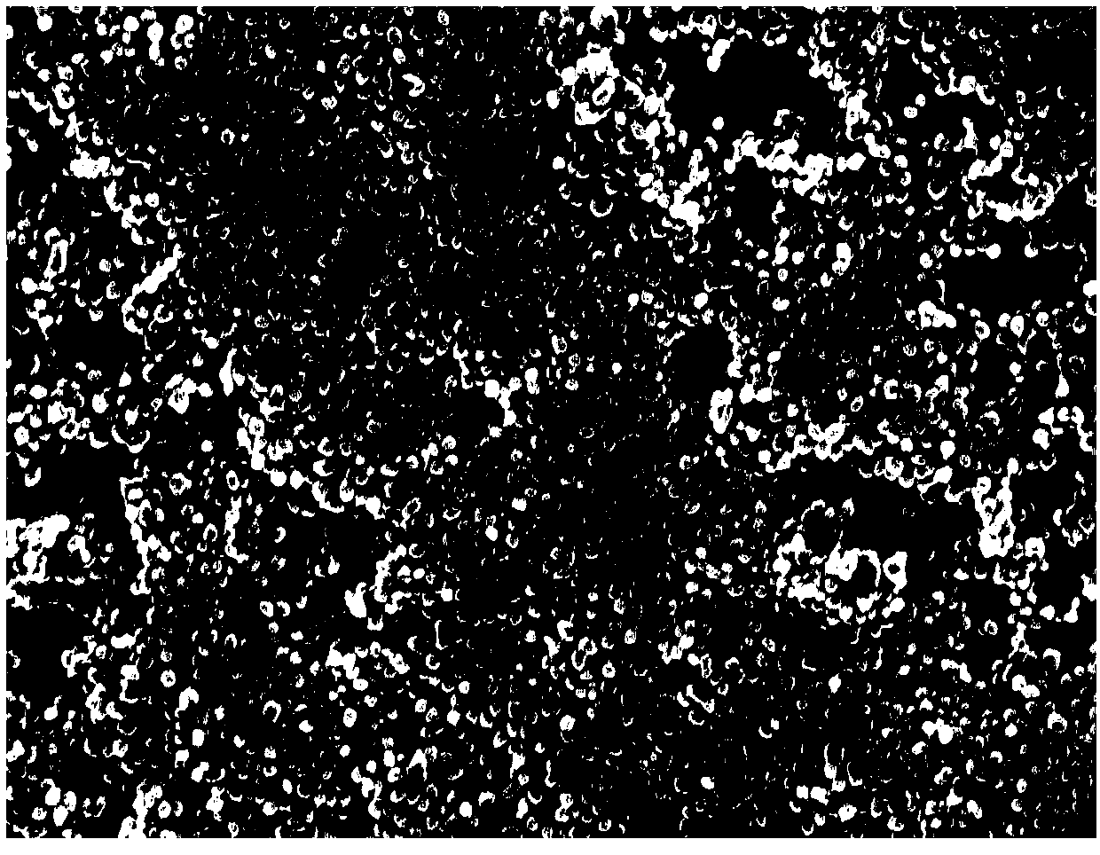 Sulfur and selenium compound coated with conducting polymer and oxidized graphene and preparation and application thereof