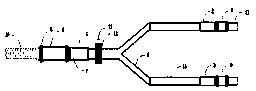 Dual-pipe automobile tail gas transfer tool