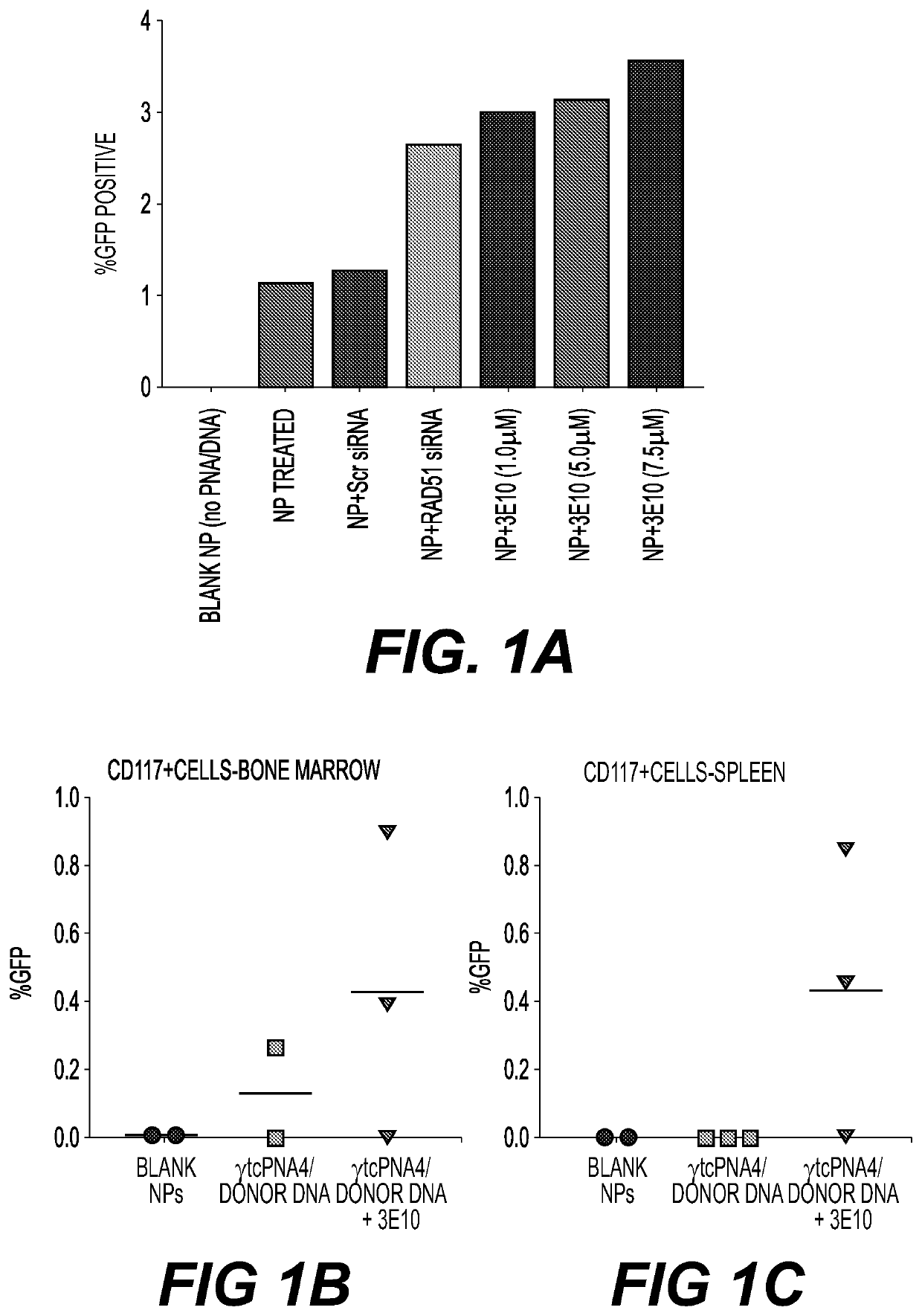 Compositions and methods for enhancing triplex and nuclease-based gene editing