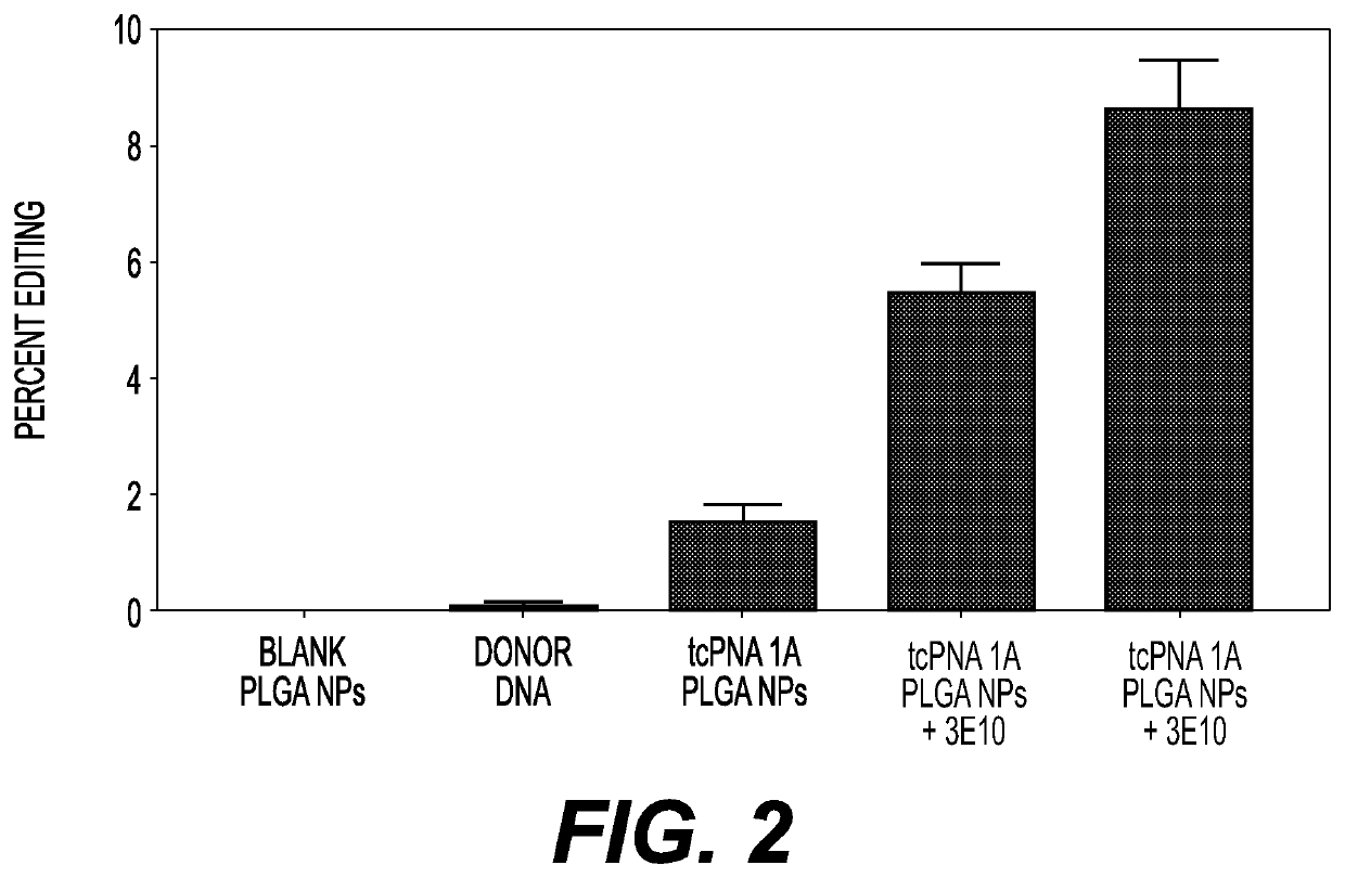 Compositions and methods for enhancing triplex and nuclease-based gene editing